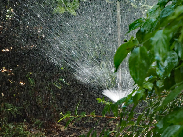 'Liquid Refreshment' by Gill Wallis, Sutton Coldfield u3a